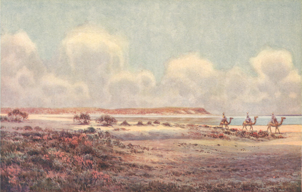 'Lake Hart, one of the salt lakes of central Australia' by Percy Spence 1910